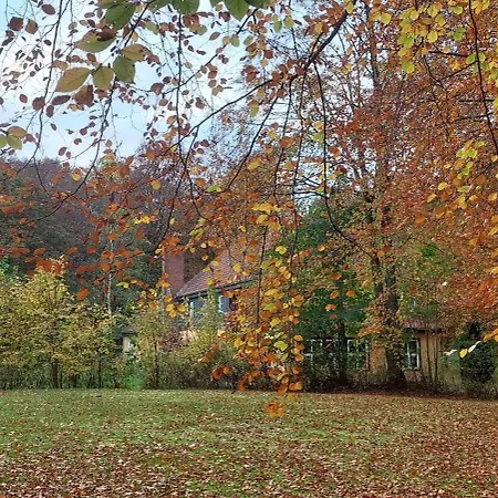 Kongso 住宿加早餐酒店