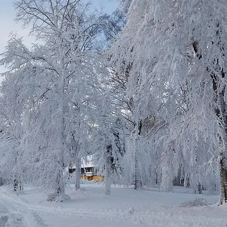 Panzió Kongso Bryrup