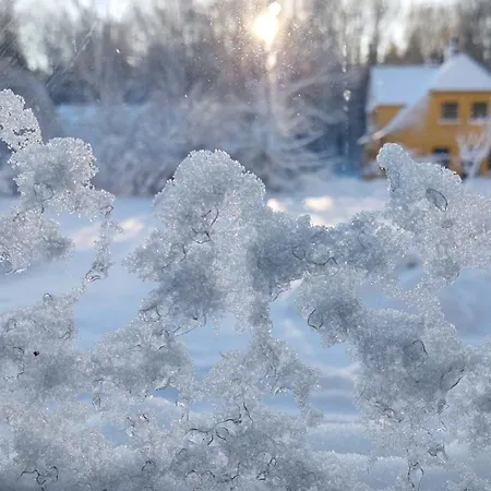 Panzió Kongso Bryrup