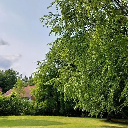 住宿加早餐酒店 Kongso