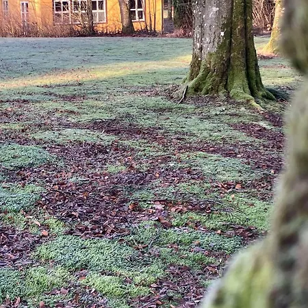 Kongso ベッド・アンド・ブレックファスト *